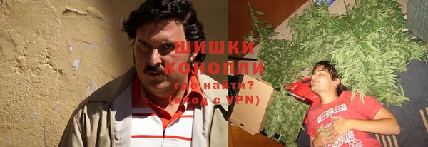 молекула духа Балахна