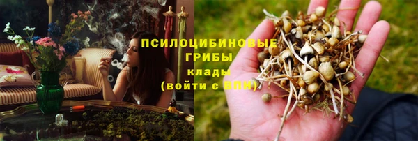 дмт Баксан