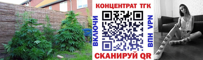 ТГК гашишное масло  наркотики  Лыткарино 