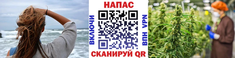 Шишки марихуана White Widow  Лыткарино 
